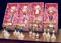 poháry pro vítěze